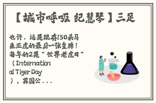 兔子先生爸气十足ep12在线