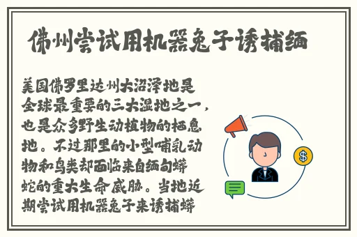 国产精品久久久久9999小说